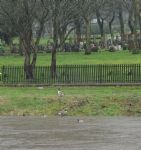 River Irwell Flood Alert